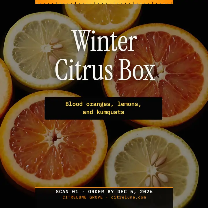 Citrelune Grove winter citrus box scanography post template