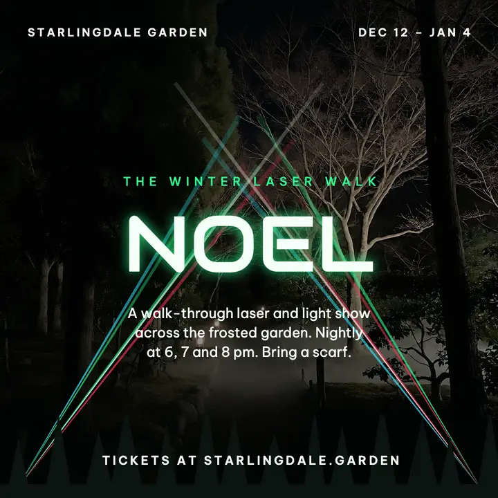 Starlingdale winter laser walk post: holiday laser light show post template