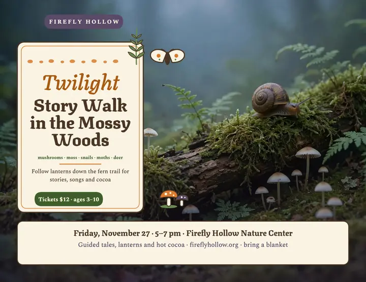 Firefly Hollow twilight story walk flyer template