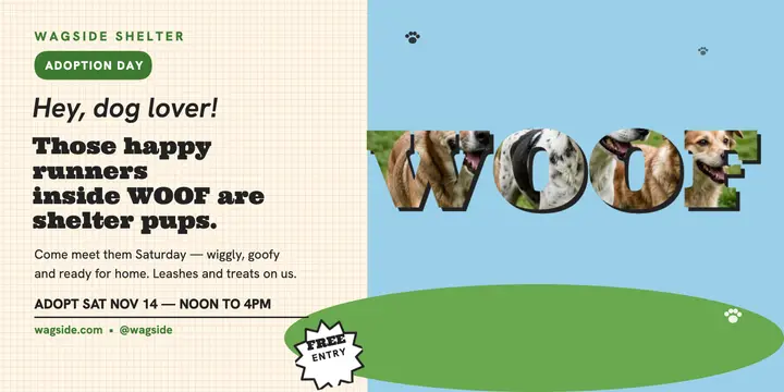 Wagside adoption day WOOF post template