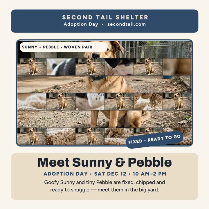 Woven shelter dogs adoption square template