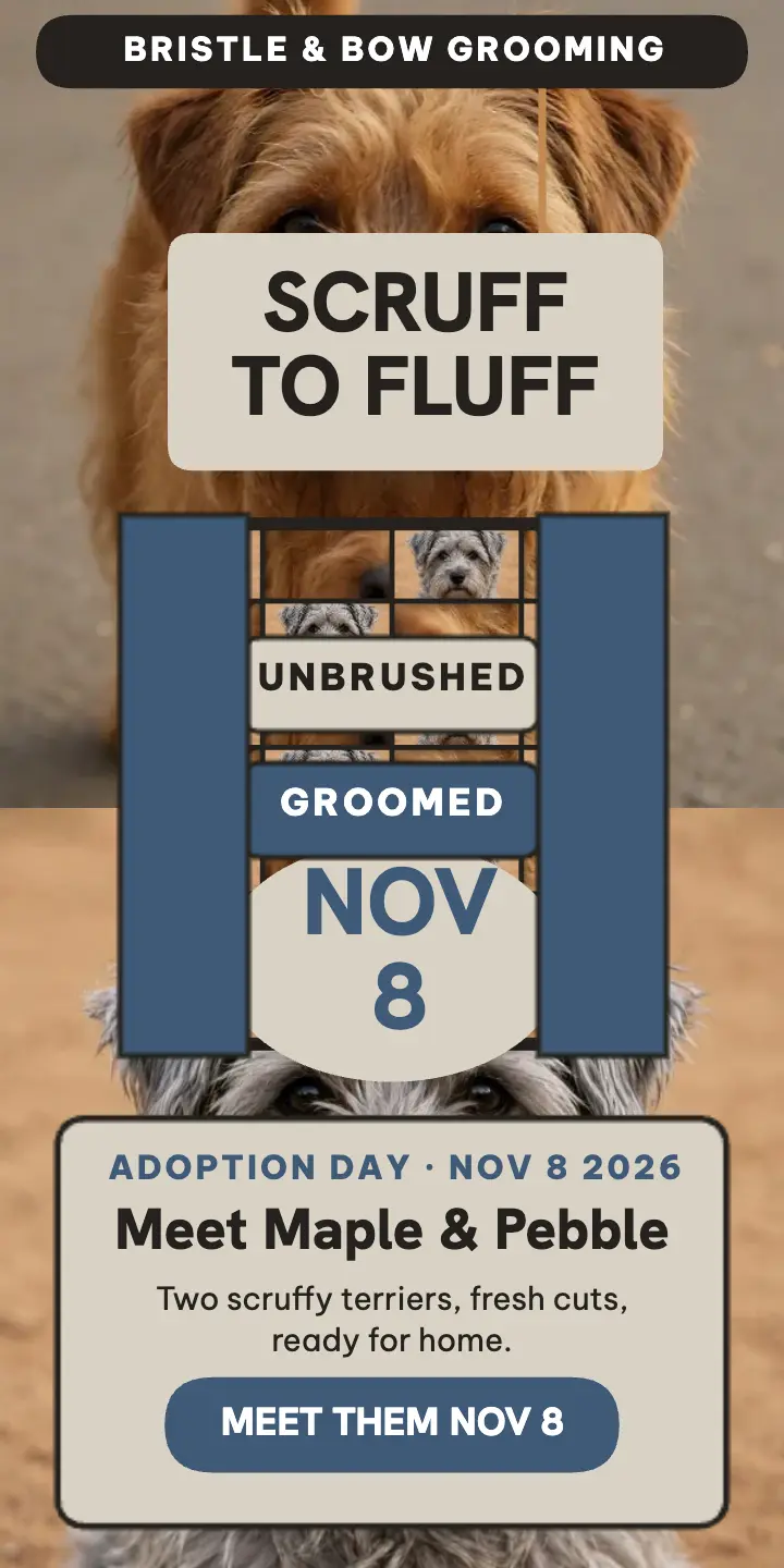 Bristle and Bow woven terrier adoption ad template