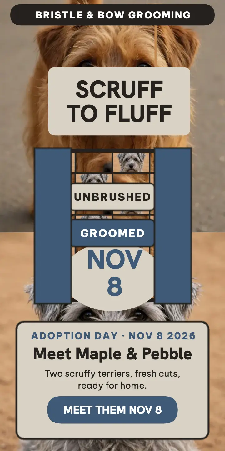 Bristle and Bow woven terrier adoption ad template