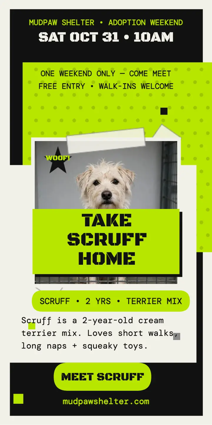 Mudpaw Shelter scruffy terrier adoption ad template