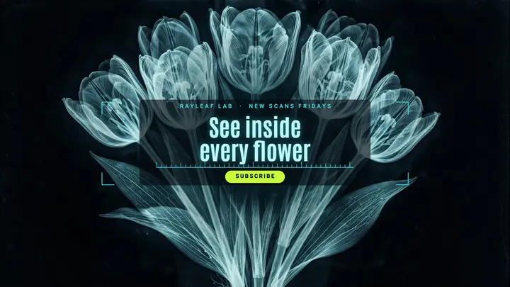 Rayleaf Lab x-ray botany channel YouTube banner: botany science youtube banner template