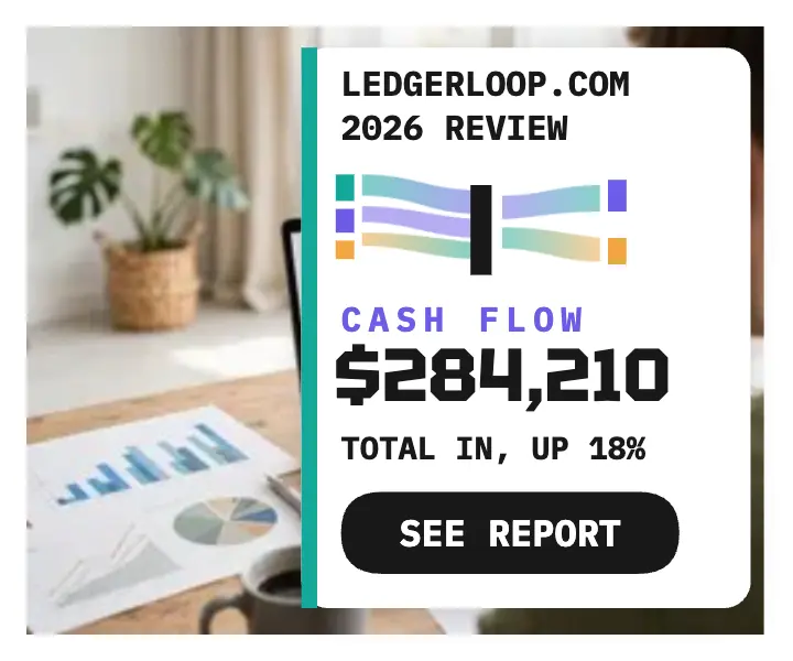 Ledgerloop year review money flow ad template