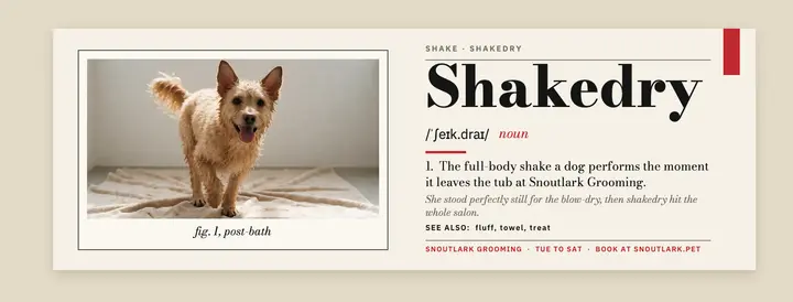 Shakedry dictionary entry grooming cover template