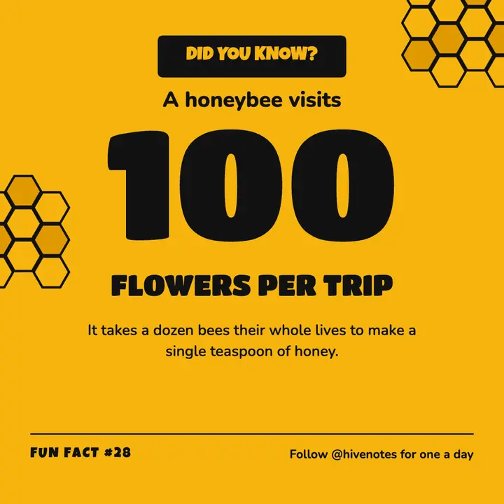 Honeybee fun fact post template